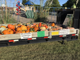 Pumpkins and Gourds