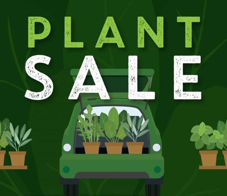 Plants 50% Off!
